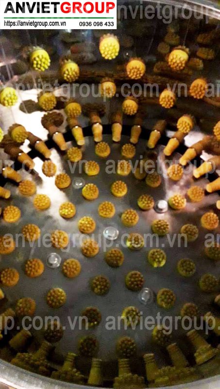 Máy vặt đánh nhổ lông chim cút gà con An Việt
